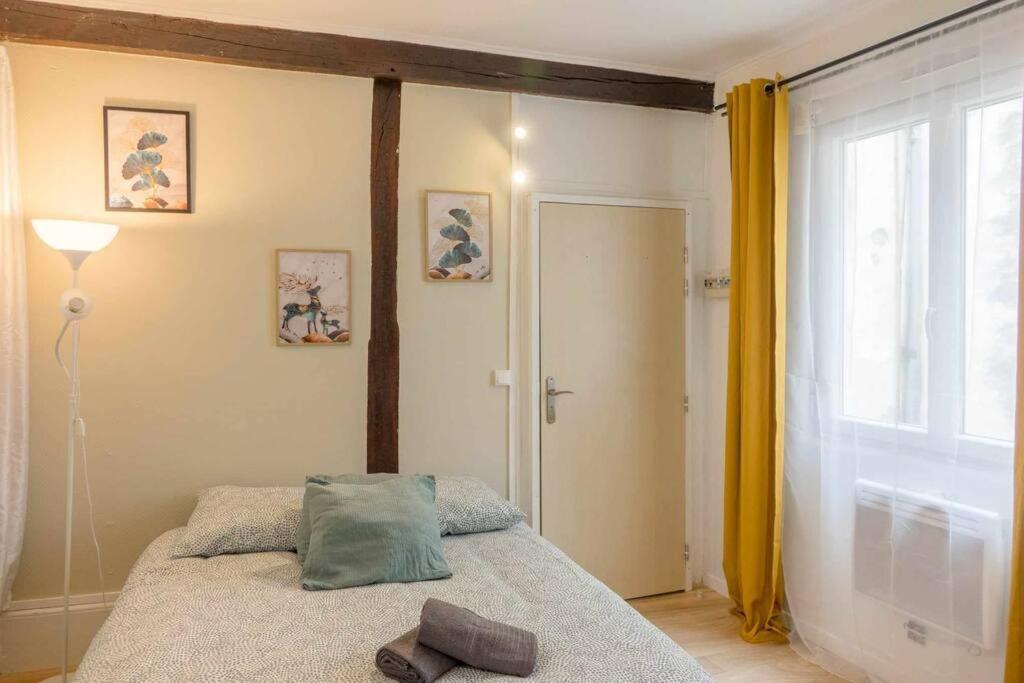 Studio Rue Pietonne Orleans Orléans Exterior foto